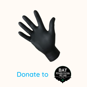Bat Rehabilitation Ireland